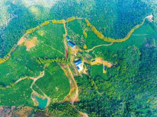 A1zhujirb2024110600001v01s009.jpg